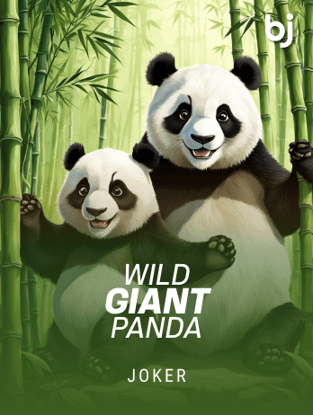 Wild Giant Panda thumbnail