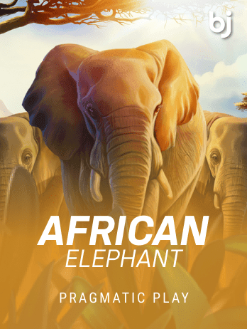 African Elephant thumbnail